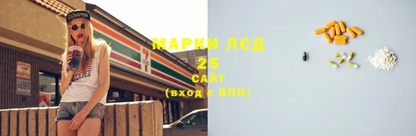 apvp Краснослободск