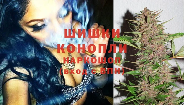 apvp Краснослободск