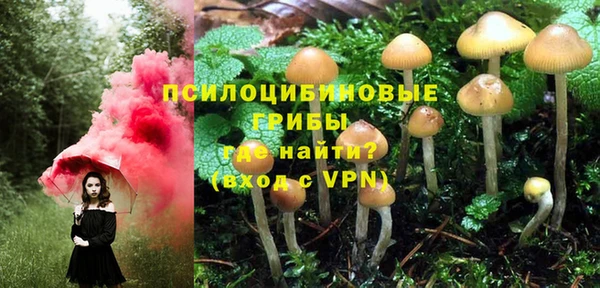 хмурый Краснотурьинск
