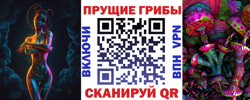 Купить  Киселёвск  Галлюциногенные грибы Psilocybine cubensis 
