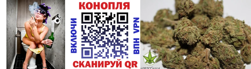 Бошки марихуана гибрид  Купить закладки  Киселёвск 